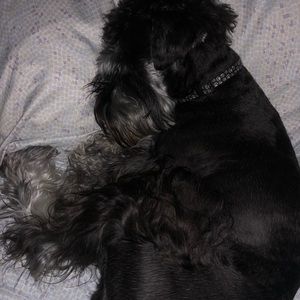 Meet your Posher, Maria